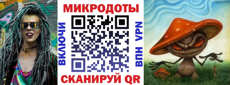 хочу Петровск ОМГ ОМГ Псилоцибиновые грибы Psilocybe